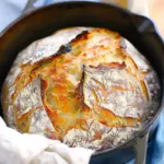 Dutch Oven No Knead Crusty Bread